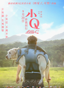 成人在线观看一区